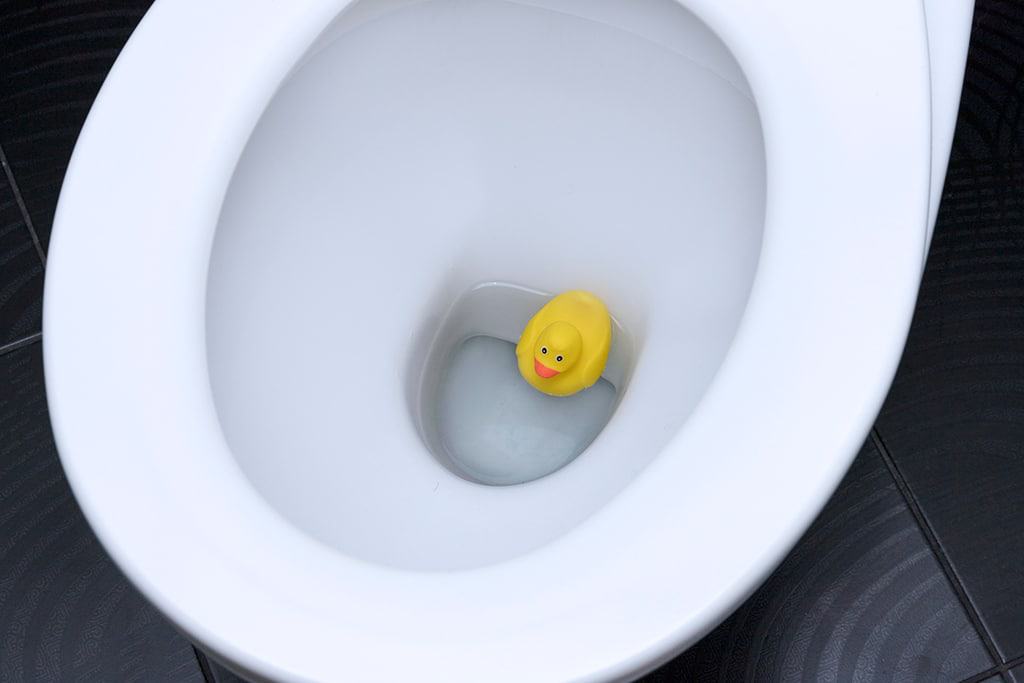 If It Fits, It Flushes? Misconceptions About How Your Drains And Toilets Work From An Emergency Plumber | Portland, OR