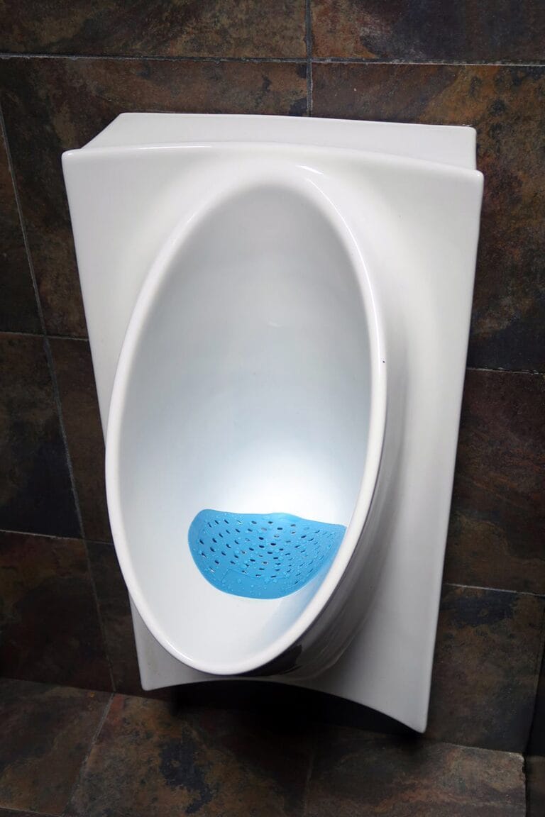 Benefits Of Having A Plumber Install A Waterless Urinal In Your Home | Vancouver, WA