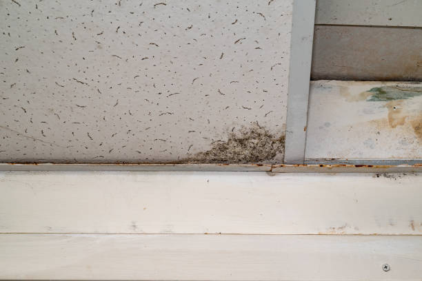 Hidden Plumbing Leaks